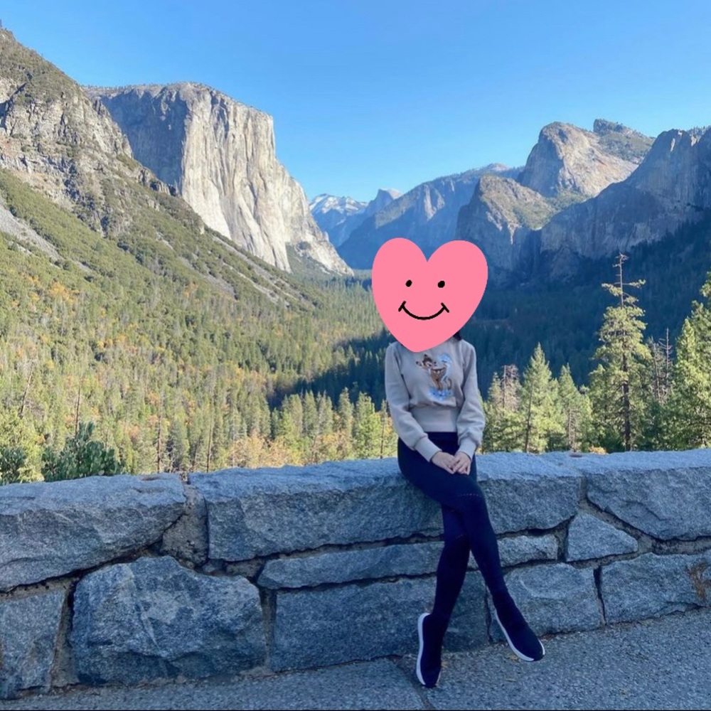 COPY - Zara Bambi dear sweatshirt